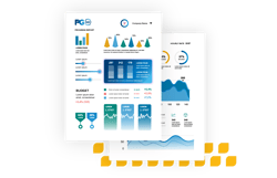 A high-level mockup of a PG360 report with graphs and stats.