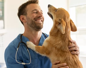 Veterinarian and corgi in clinic