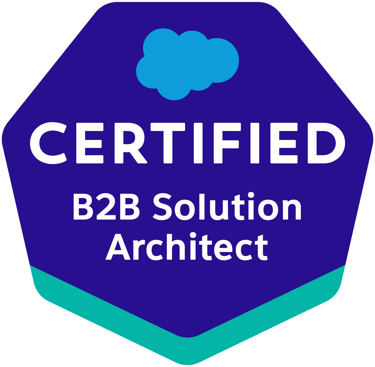 B2B Solution Architect