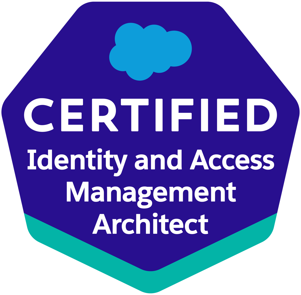 ID and Access Mgmt Architect