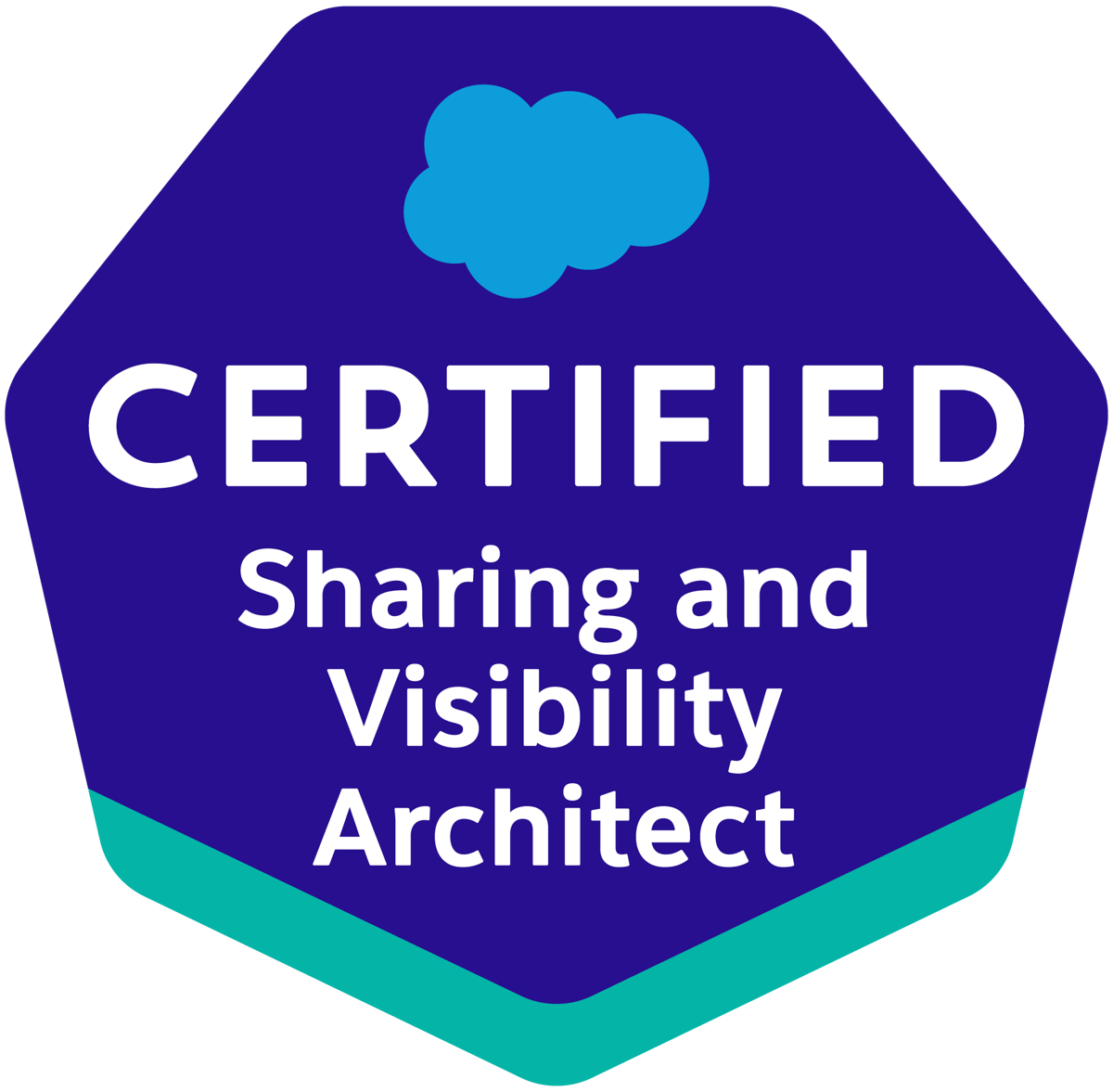 Sharing and Visibility Architect